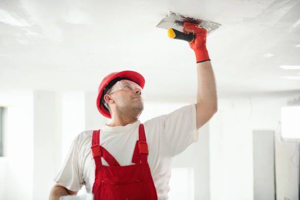 Wallpaper Removal and Painting in Anacortes, WA